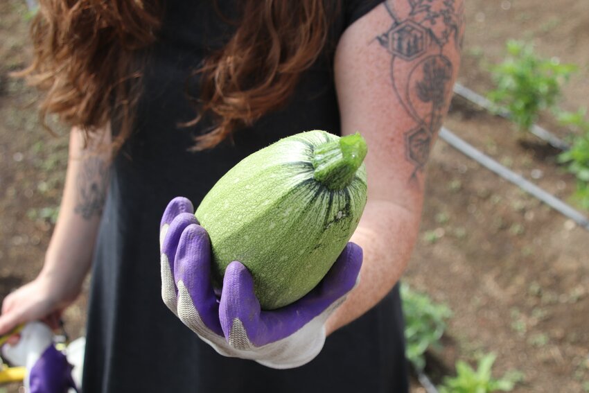 Whitney Leeds,advocacy and community organizing manager for Growing Home, holds a Mexican Squash she picked at the community garden located at Irving Street Library